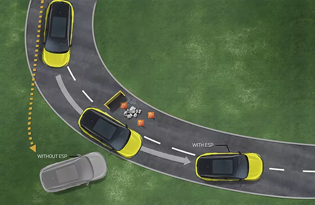 Electronic Stability Program (ESP)